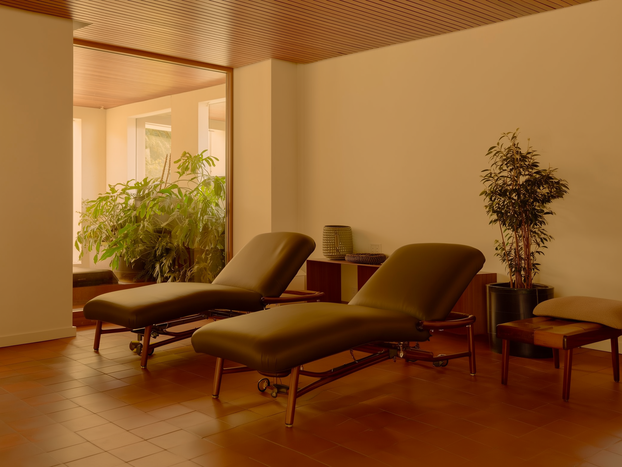 Sala de terapia acogedora con sillones cómodos y luz natural