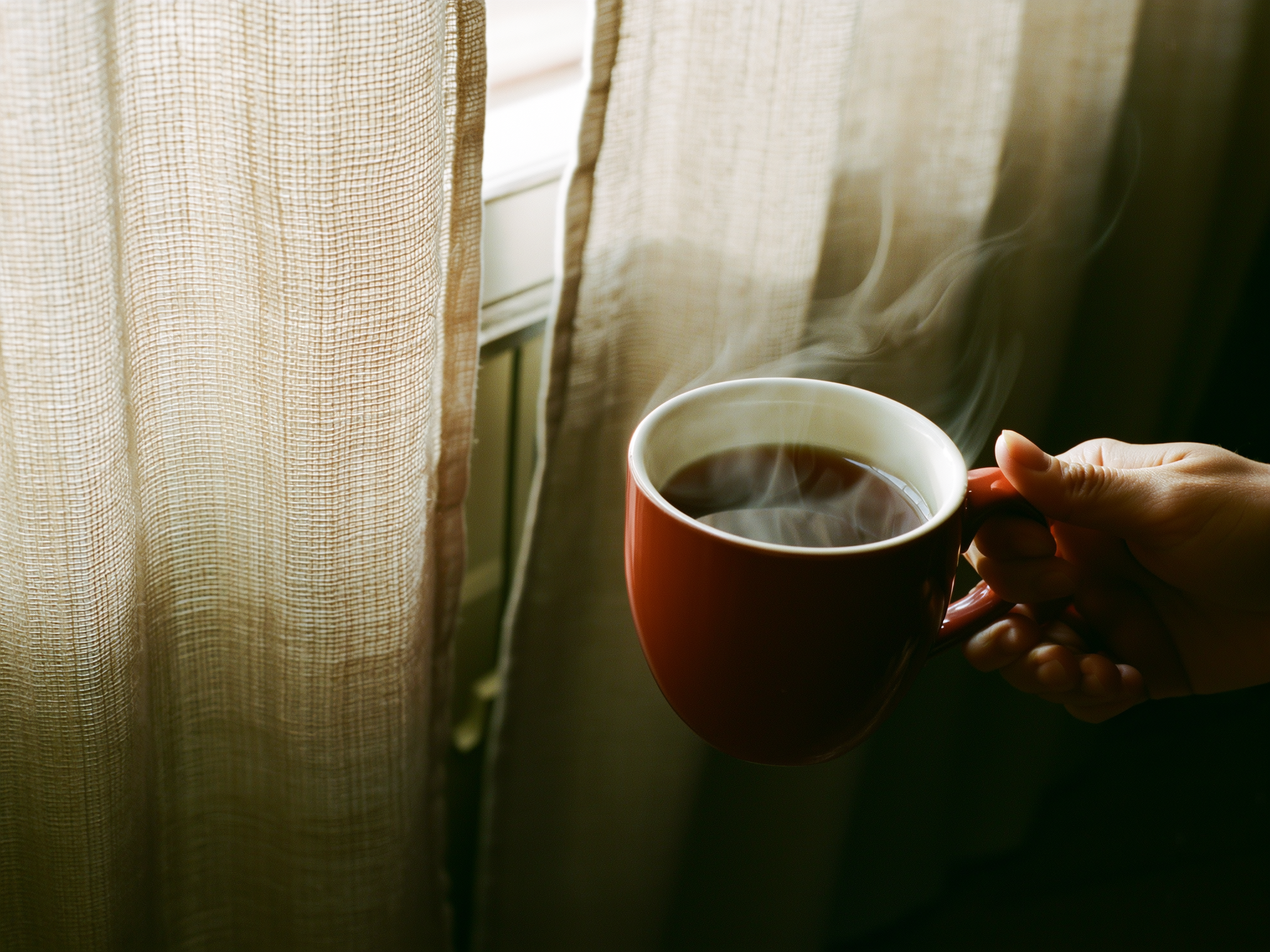 Manos sosteniendo una taza de té en un ambiente tranquilo, simbolizando momentos de reflexión
