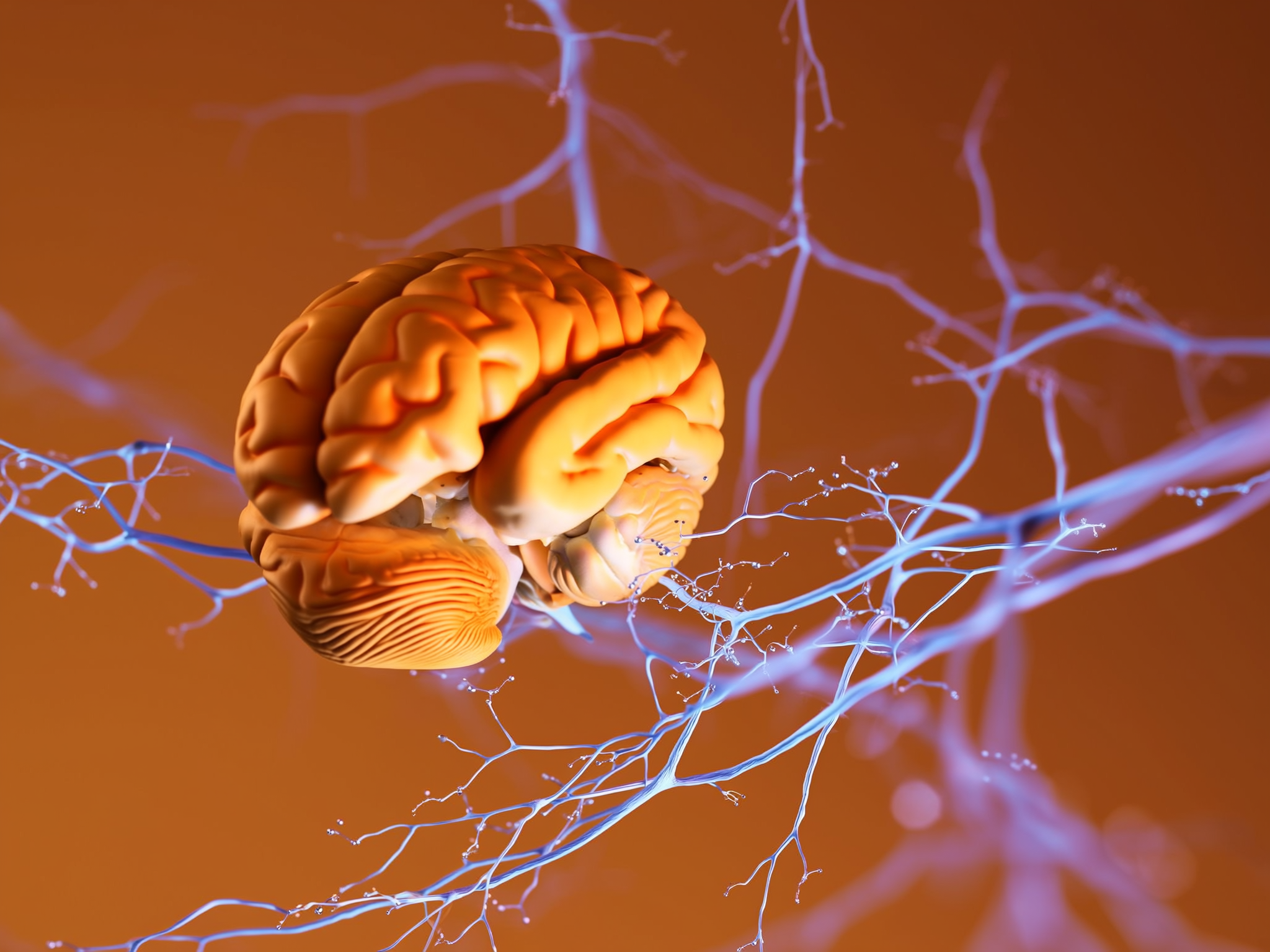 Representación artística de neuronas cerebrales y conexiones sinápticas